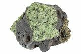 Peridot in Basalt - Arizona #239472-1